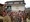 tiny_thumb_Caretos_Varge__Medium_