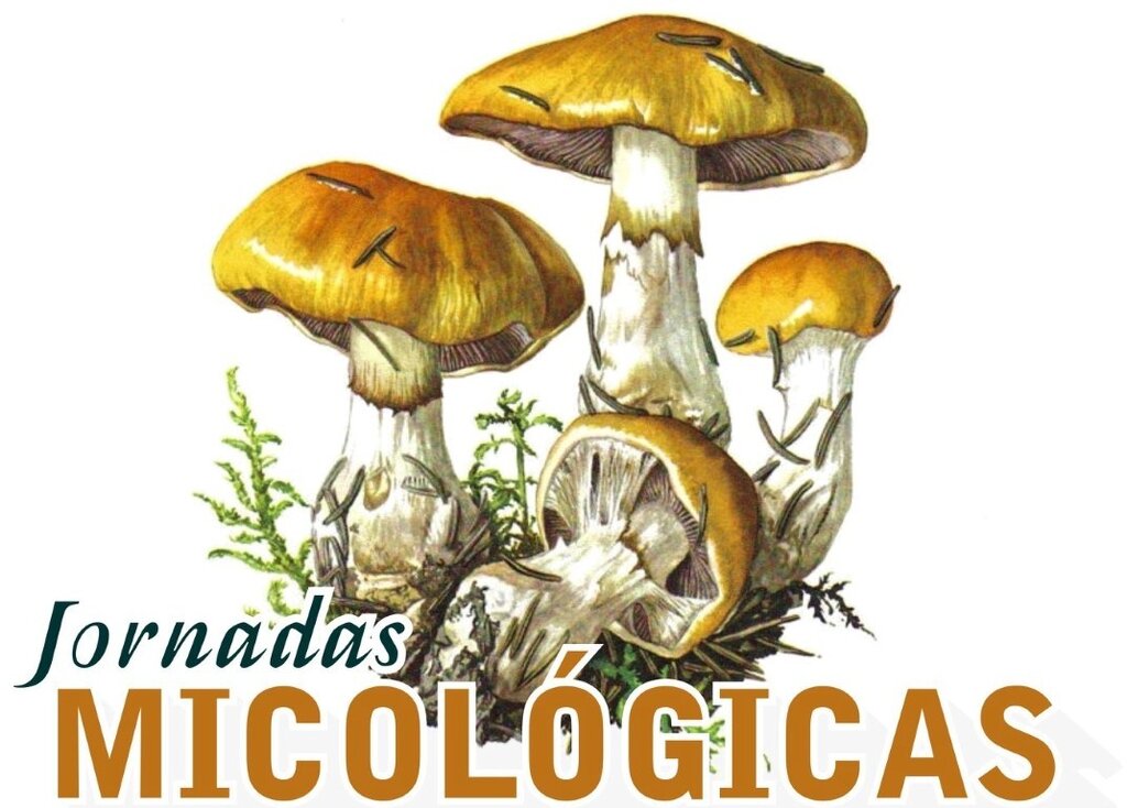 jornadasmicologicas1__Medium_