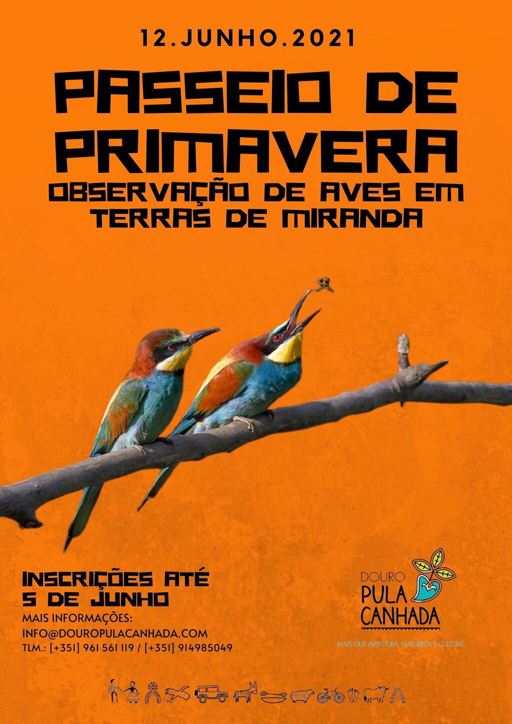 Passeio e observação de aves em Terras de Miranda 