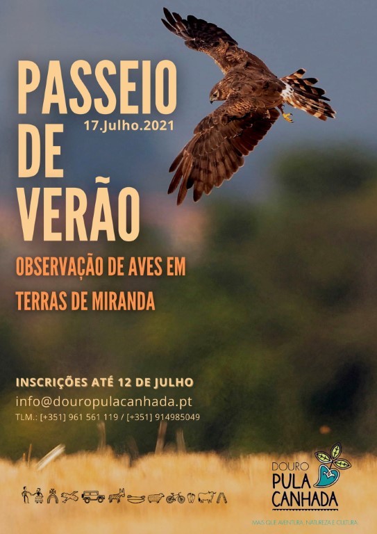 Passeio de Verão 