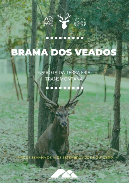 Brama dos Veados