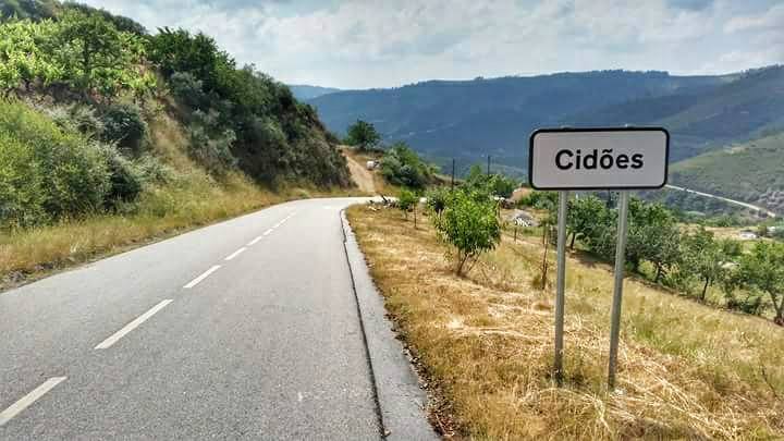 cidoes