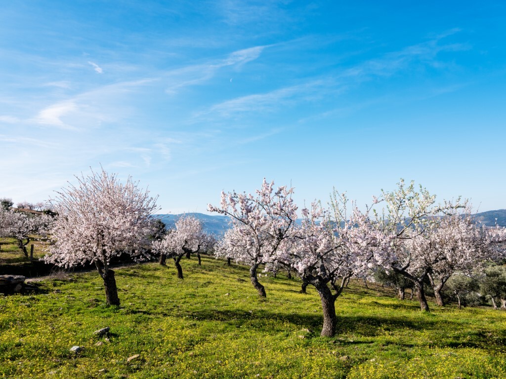 2019028_terrafria_lr_74__medium_