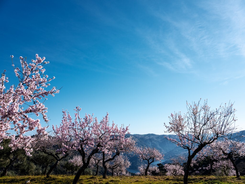2019028_terrafria_lr_75__medium_