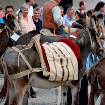 Feira do Azinhoso