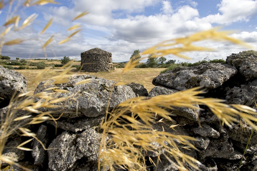 Reserva da Biosfera da Meseta Ibérica