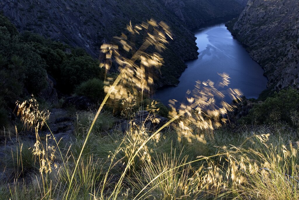 Reserva da Biosfera da Meseta Ibérica