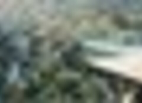 tiny_thumb_20190523_TERRAFRIA_PRIMAVERA_LR-42__Medium_