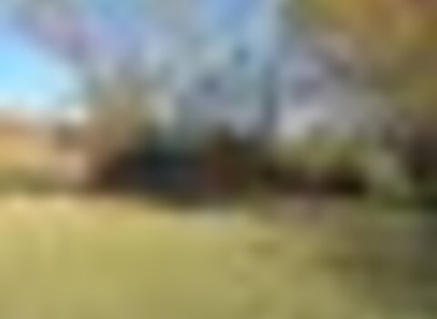 tiny_thumb_T10_Lagomar_01