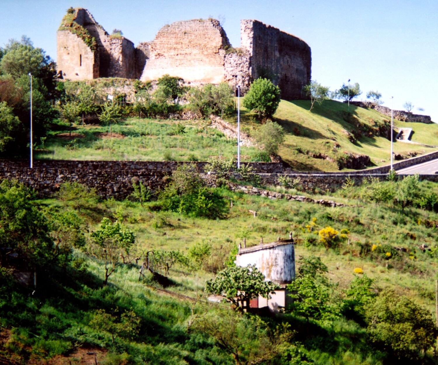 castelo_MDouro