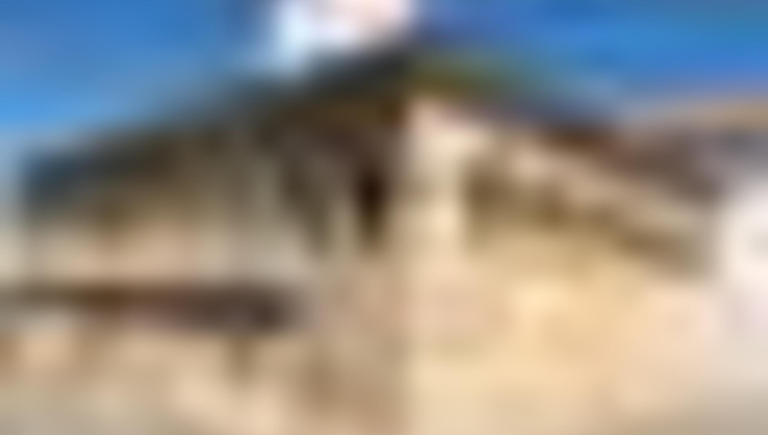 tiny_thumb_Domus