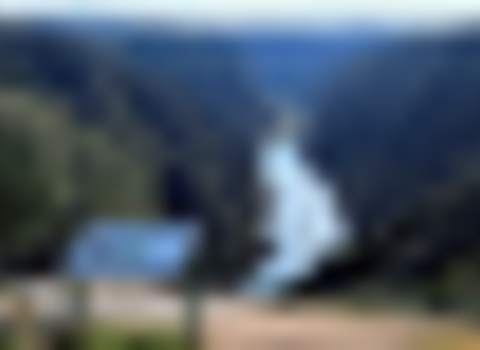 tiny_thumb_pndi