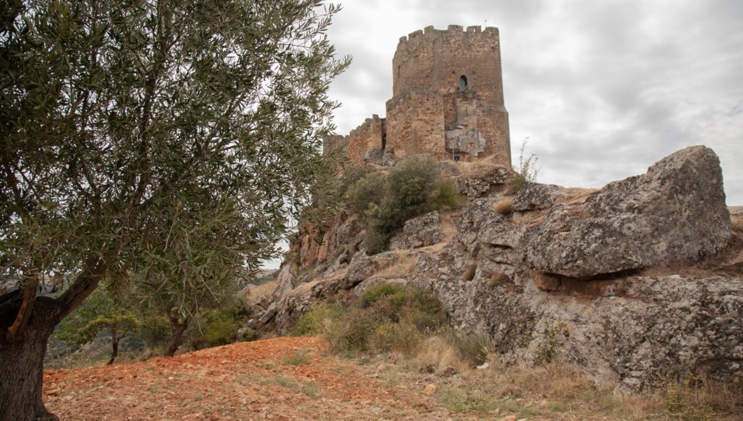 Algoso-79__Medium_