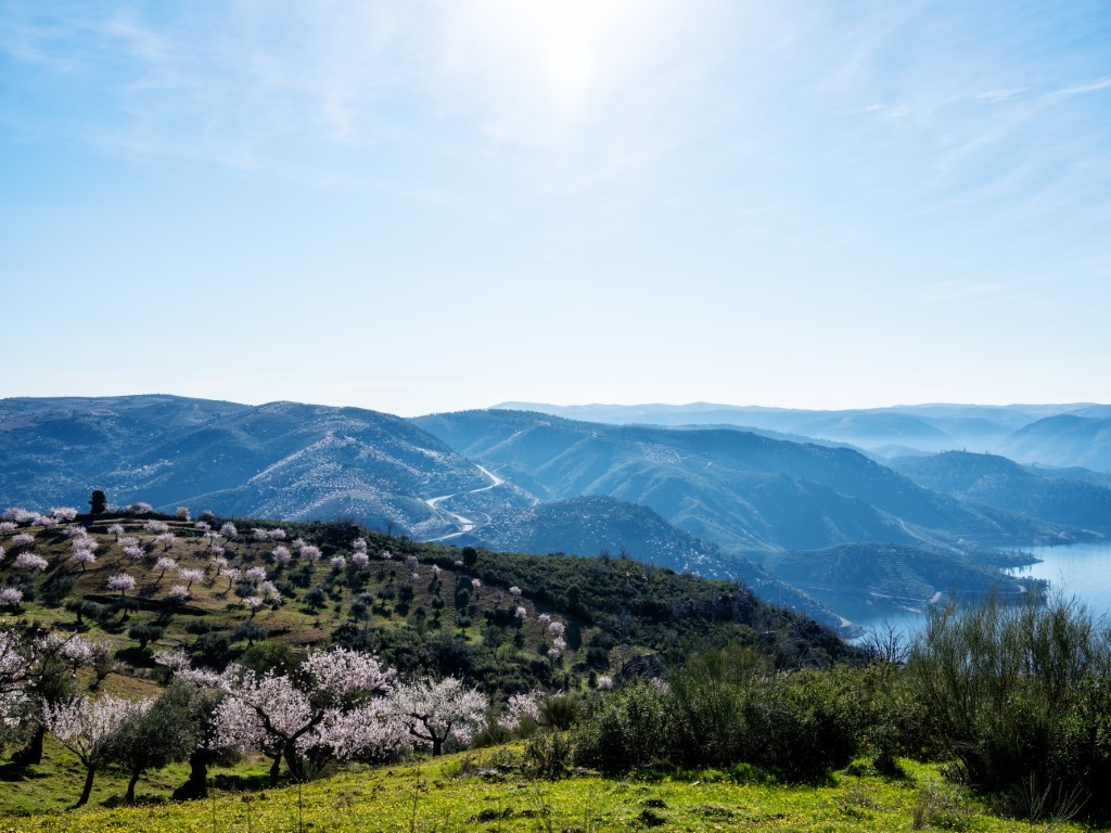 2019028_TerraFria_LR-79__Medium_
